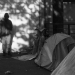 PARIS  3 NOV 2016  Avant l'évacuation du campement de 2011 personnes AVENUE DE FLANDRE à STALINGRAD